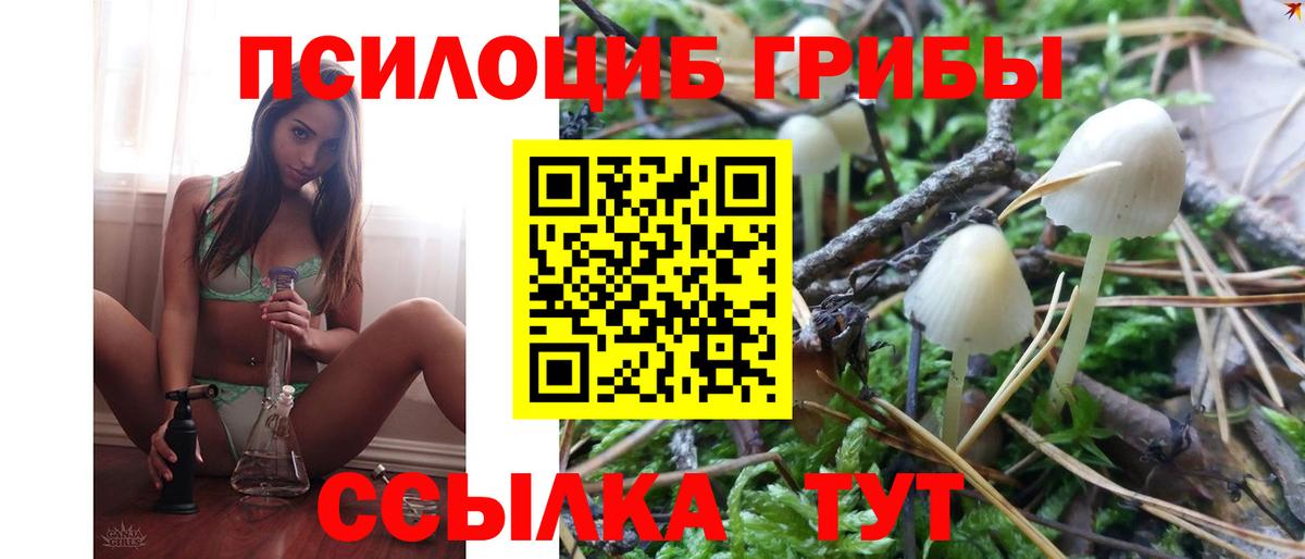 Галлюциногенные грибы GOLDEN TEACHER Сатка