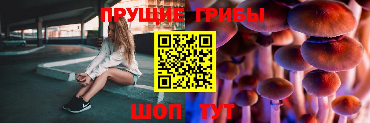 Сатка  Псилоцибиновые грибы Psilocybine cubensis  Галлюциногенные грибы Cubensis  Вход с VPN 